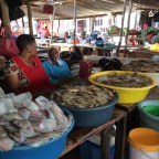 Vardagen smyger sig på