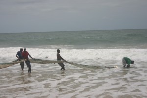 ...upp med näten...