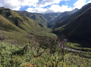 Utsikten från vår privata terrass