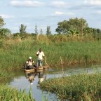 Gäst hos verkligheten