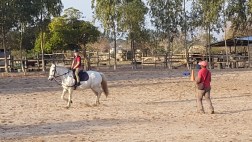 Stella i full galopp