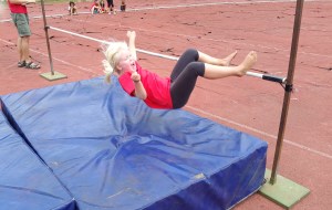 Stella flyger över 86 cm