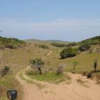 Maputo Elephant Reserve