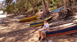 Leo tar paus i skuggan