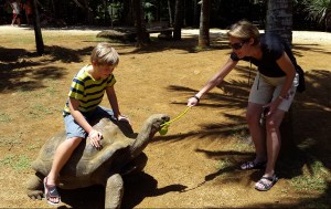 Leo i sadeln. Karin matar med vaniljkvist