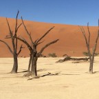 Namibia – öken, hav och mycket annat